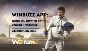 Read more about the article Winbuzz App: Guide on How to Bet on Cricket Matches